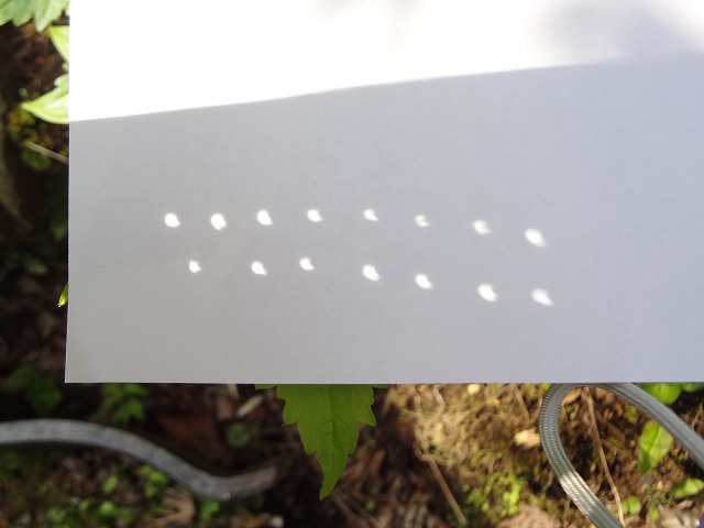 e0145328_8435050.jpg