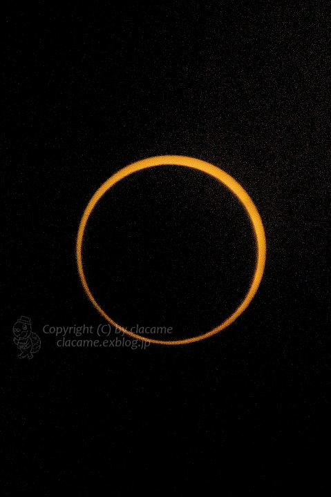 e0031229_20462845.jpg
