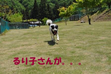 f0176830_20192597.jpg