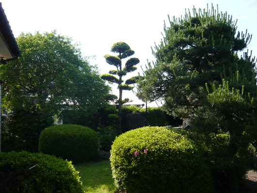 a0206332_9228.jpg