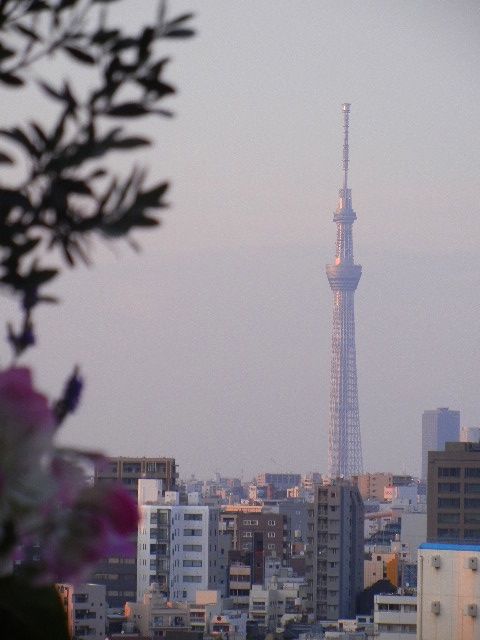 c0177332_17251081.jpg