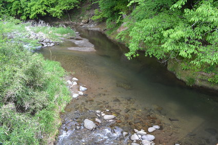 e0228938_2063195.jpg