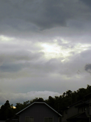 a0135840_1217753.jpg
