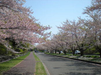 b0001440_15441078.jpg