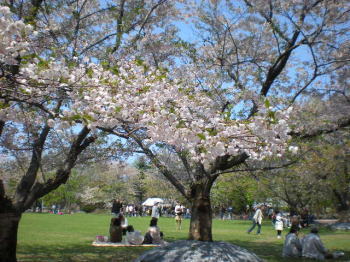 b0001440_15452386.jpg