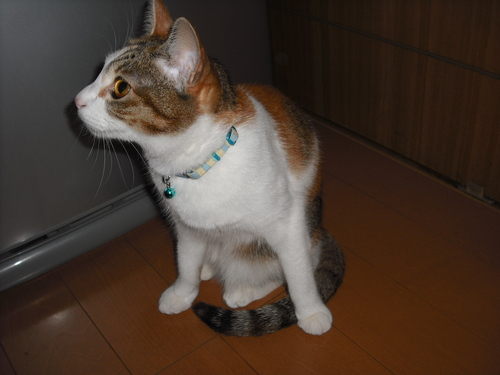 c0194042_1436247.jpg