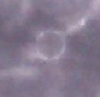 d0064742_817095.jpg
