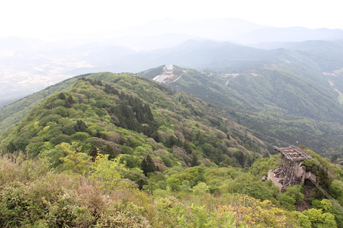 d0132743_21315431.jpg