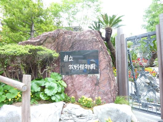 e0276943_2245658.jpg