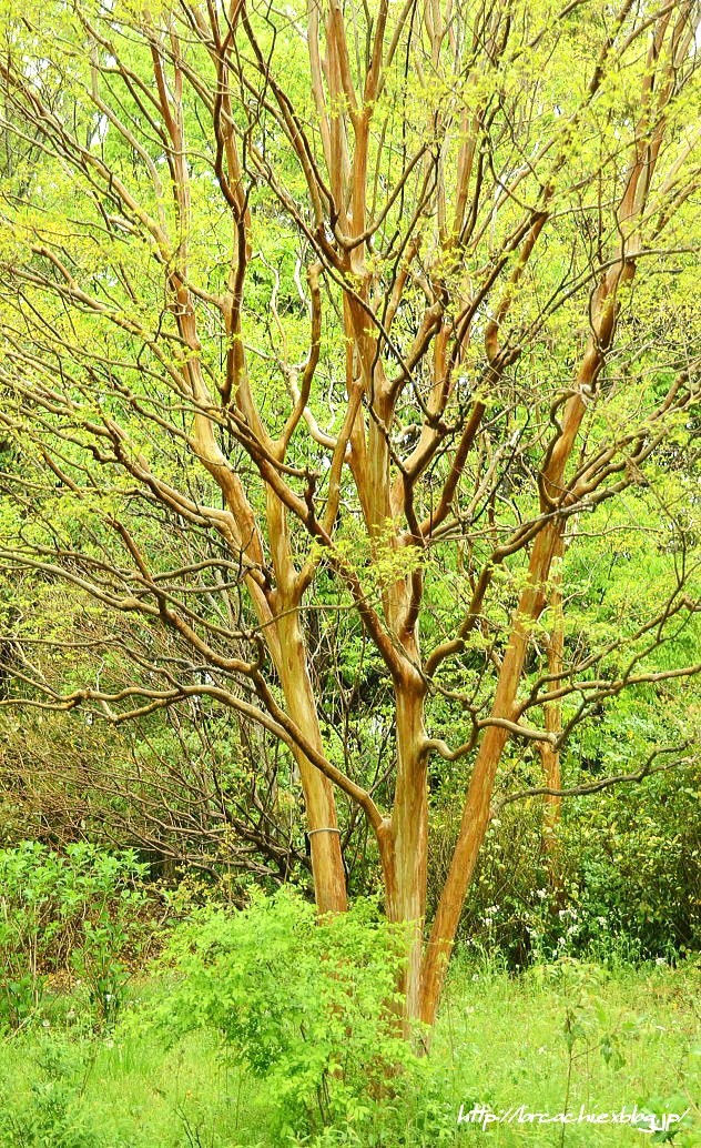 f0045844_12101945.jpg