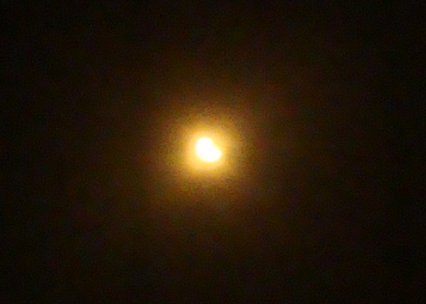 b0149445_10542195.jpg