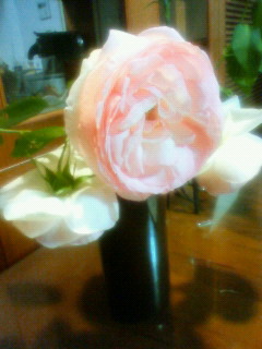 c0124646_0132615.jpg