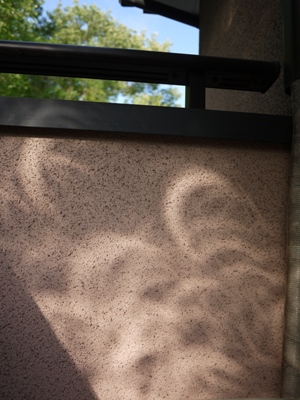 e0100046_1844357.jpg