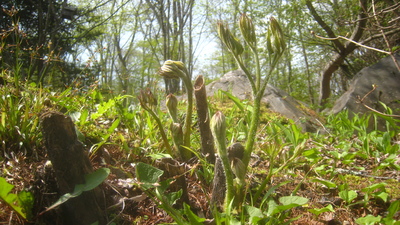 b0126549_23465735.jpg
