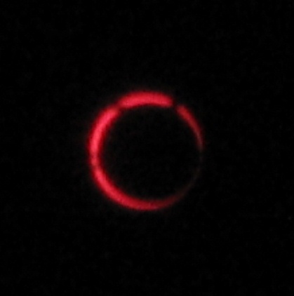 c0043751_1702433.jpg