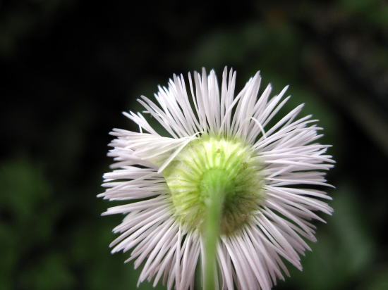 c0147952_23591060.jpg