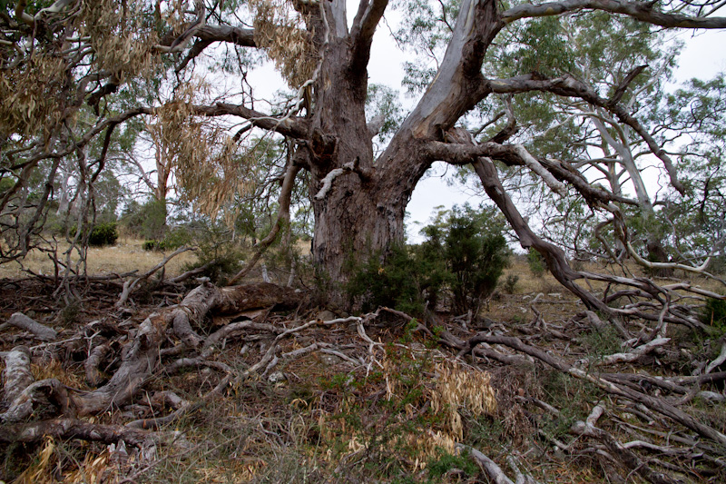 f0137354_1640111.jpg
