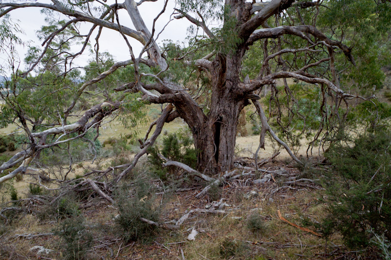 f0137354_16404773.jpg