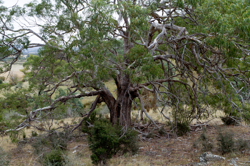 f0137354_16432090.jpg