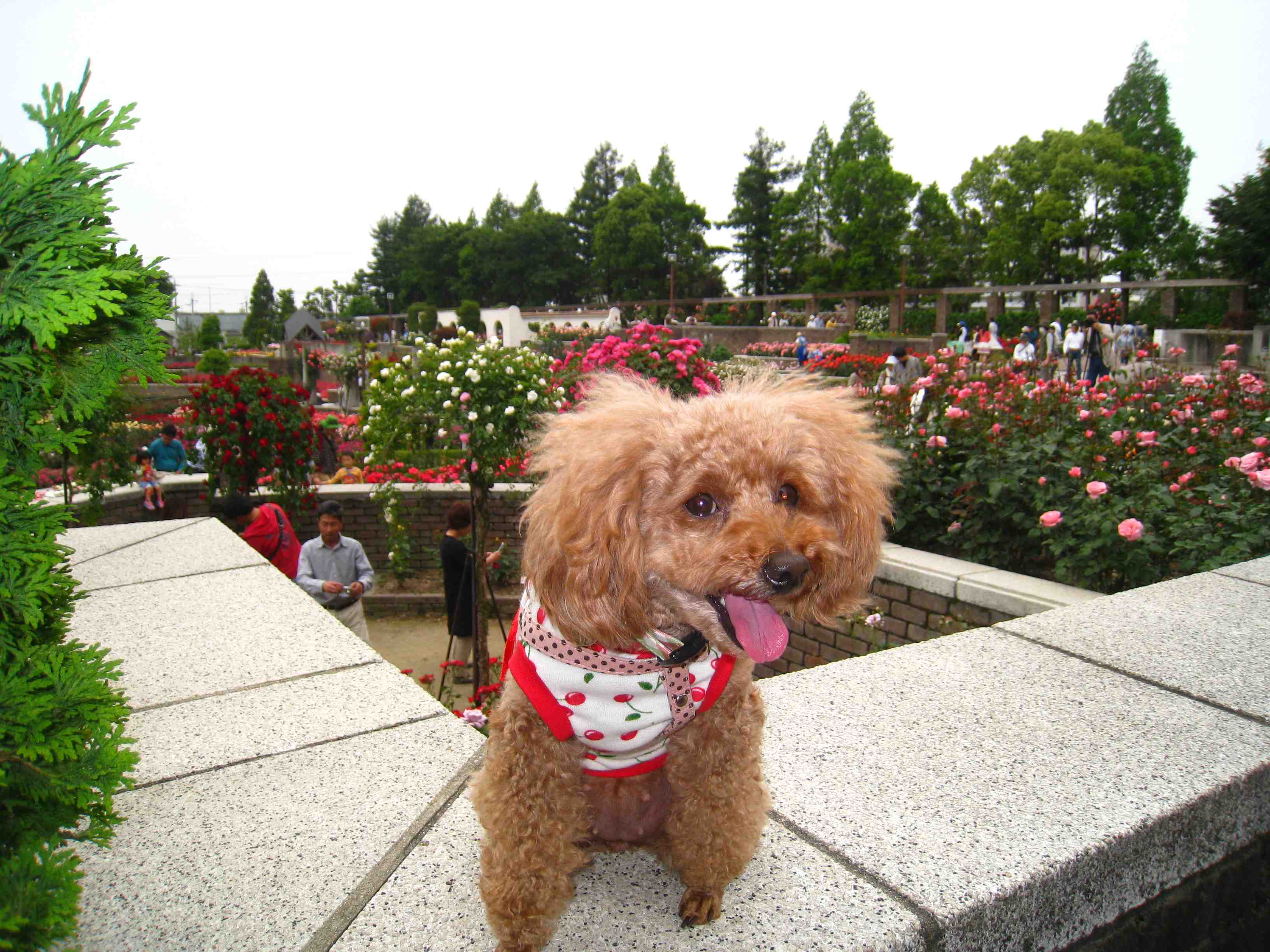 f0233356_22553290.jpg