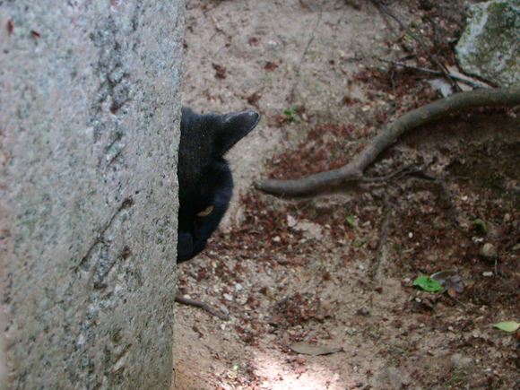 e0175258_9162044.jpg