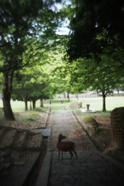 f0214858_22434534.jpg