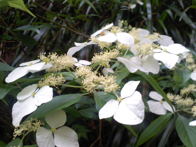 a0132059_20104550.jpg