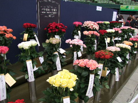 e0088260_23512914.jpg