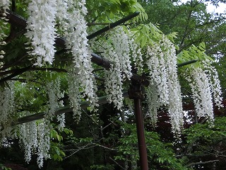 b0096463_11484926.jpg