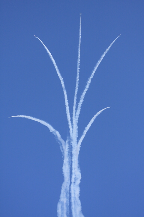 c0213564_18481421.jpg