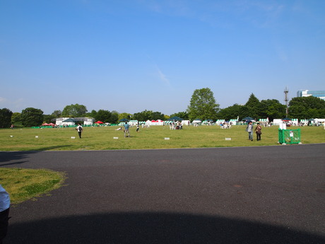 e0125264_9574549.jpg