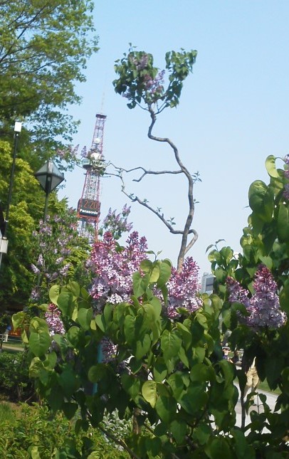 b0236665_1941534.jpg
