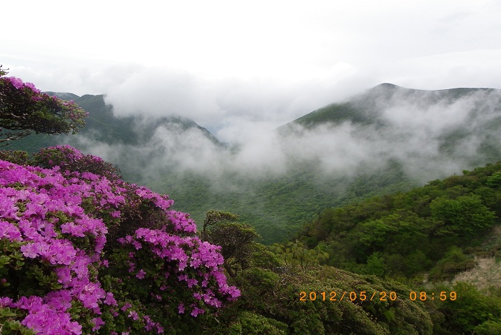 f0016066_83116.jpg