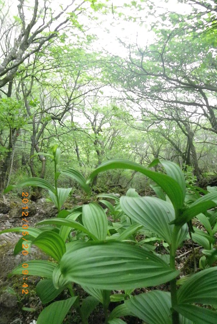 f0016066_89983.jpg