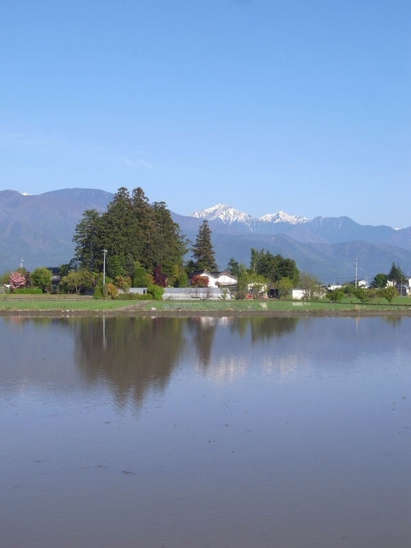 c0166668_21442571.jpg