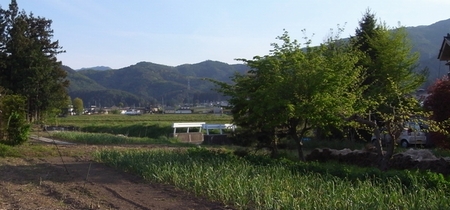 c0166668_224890.jpg