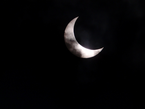 a0053771_1665480.jpg