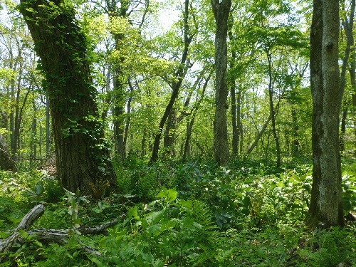 d0084473_2154085.jpg