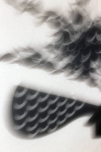 c0226874_12503151.jpg