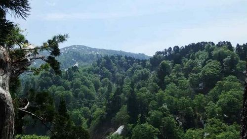 c0022275_9123017.jpg