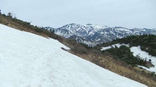 c0022275_916540.jpg