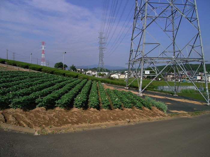 d0225575_1073511.jpg