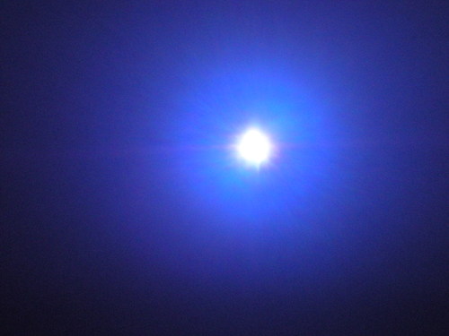 c0204076_2346544.jpg