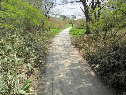 c0218879_17591995.jpg