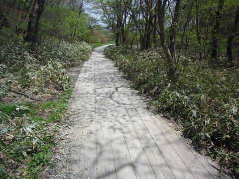 c0218879_1759255.jpg