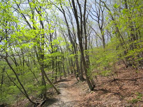 c0218879_21203620.jpg