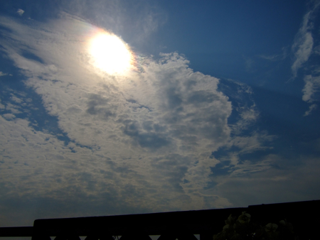 a0105480_8471174.jpg