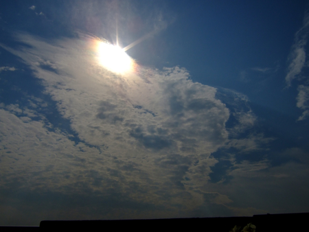 a0105480_847267.jpg