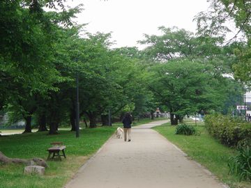 e0012580_0333156.jpg