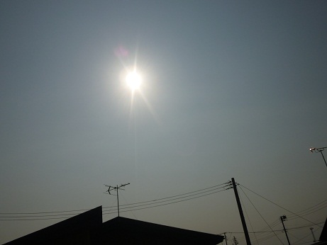 d0129083_12562423.jpg